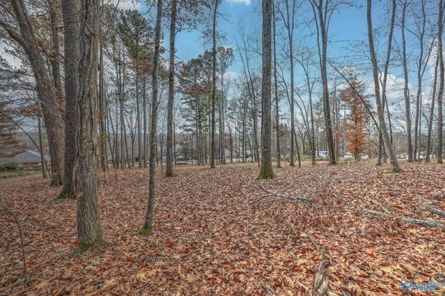2571 Little Cove Road, Owens Cross Roads, AL 35763