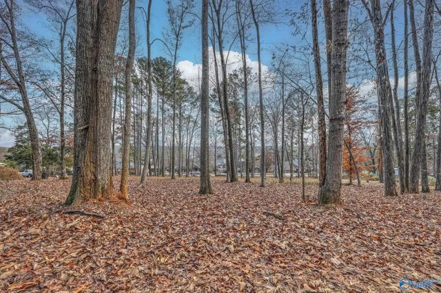 2571 Little Cove Road, Owens Cross Roads, AL 35763