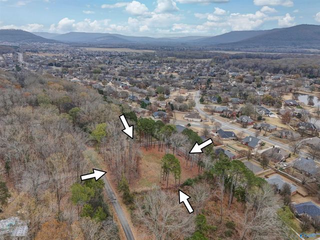 2571 Little Cove Road, Owens Cross Roads, AL 35763