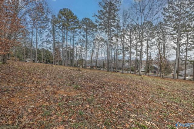 2571 Little Cove Road, Owens Cross Roads, AL 35763