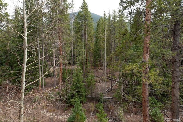 28 Trappers Crossing Trail 8760, Dillon, CO 80435