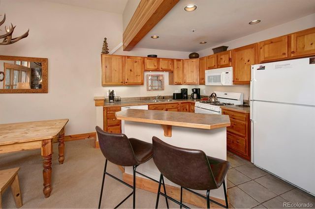 28 Trappers Crossing Trail 8760, Dillon, CO 80435