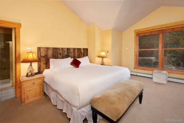 28 Trappers Crossing Trail 8760, Dillon, CO 80435