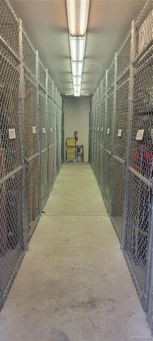 28 Trappers Crossing Trail 8760, Dillon, CO 80435