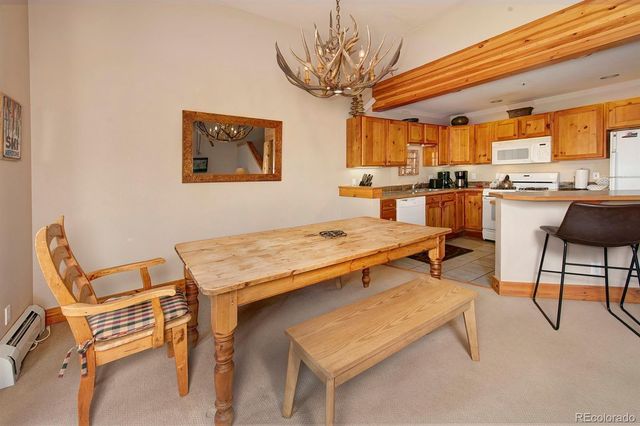 28 Trappers Crossing Trail 8760, Dillon, CO 80435