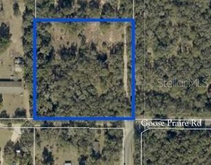 10681 GOOSE PRAIRIE ROAD, Leesburg, FL 34788