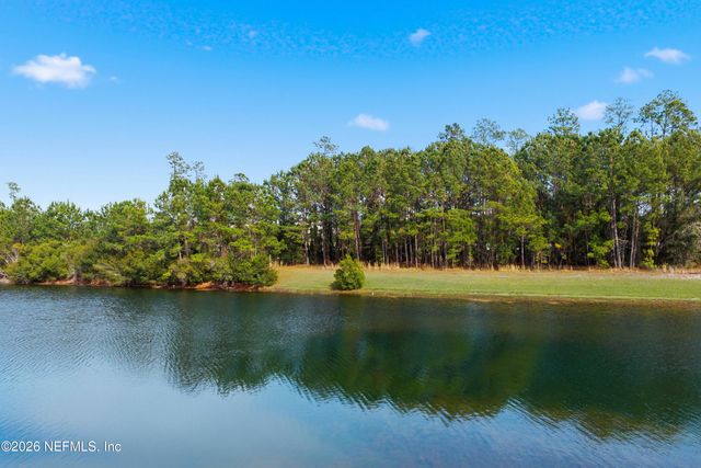 1507 TROPICAL PINE Cove, Middleburg, FL 32068