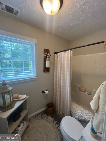 385 Minix Road, Sharpsburg, GA 30277