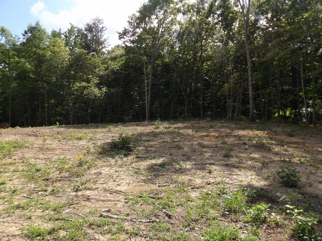 158 Shady Oaks Drive, Dunlap, TN 37327