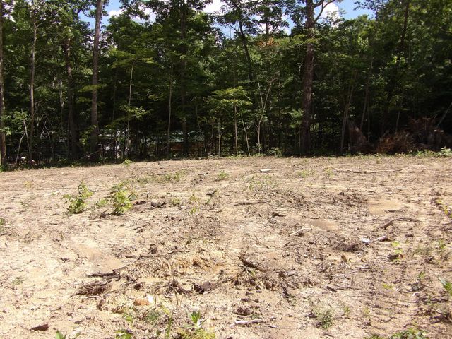 158 Shady Oaks Drive, Dunlap, TN 37327