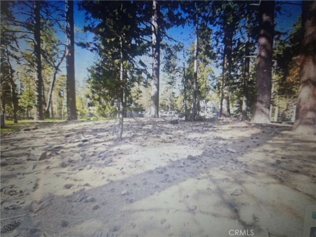0 Pine Ridge, Pine Cove, CA 92548