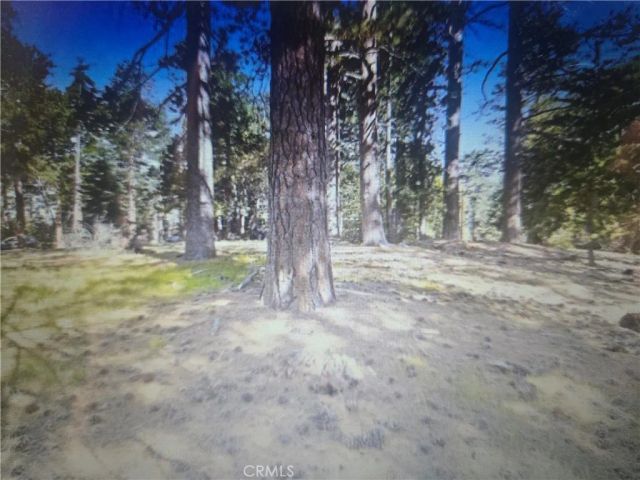 0 Pine Ridge, Pine Cove, CA 92548