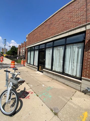 516 E 43rd Street, Chicago, IL 60653