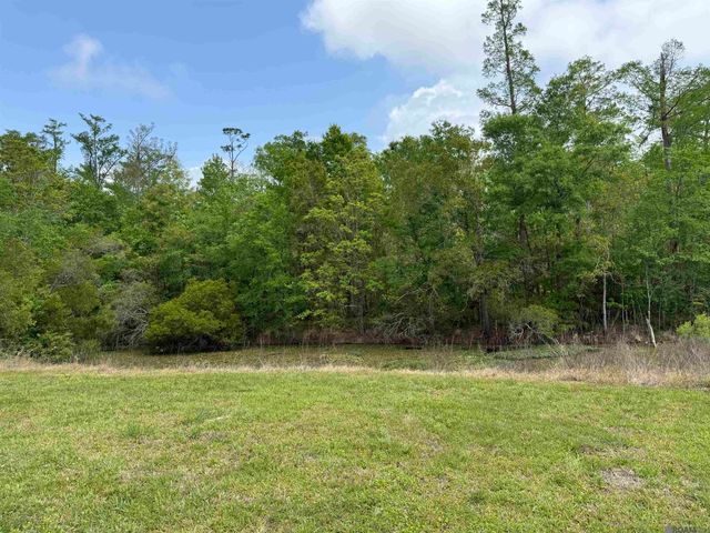 17230 Tchula Dr, Springfield, LA 70462