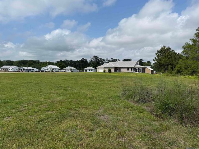 17230 Tchula Dr, Springfield, LA 70462