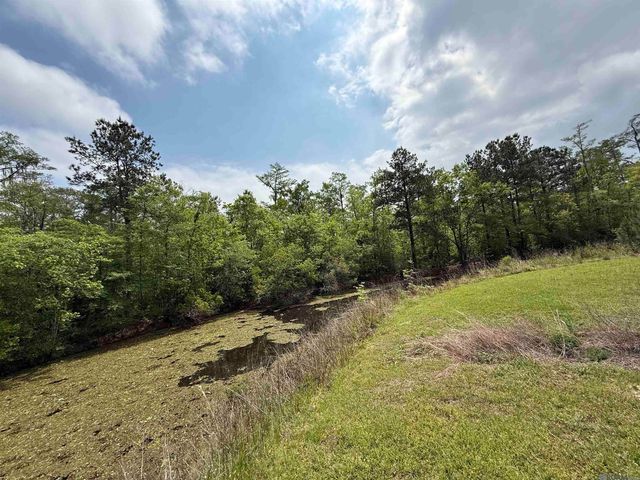 17230 Tchula Dr, Springfield, LA 70462