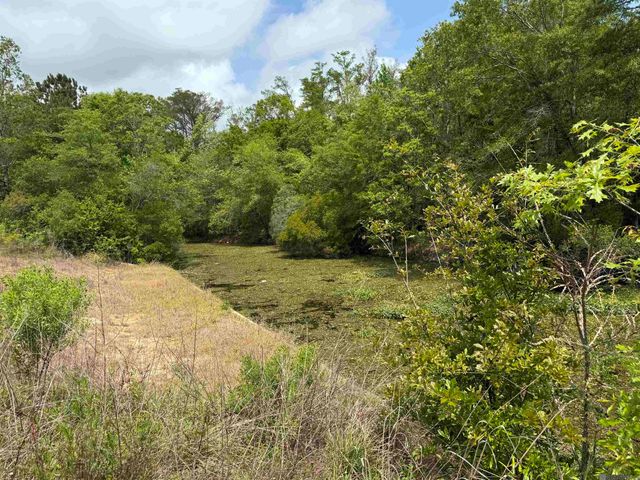 17230 Tchula Dr, Springfield, LA 70462