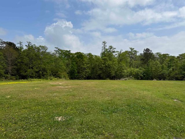 17230 Tchula Dr, Springfield, LA 70462