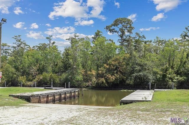 17230 Tchula Dr, Springfield, LA 70462