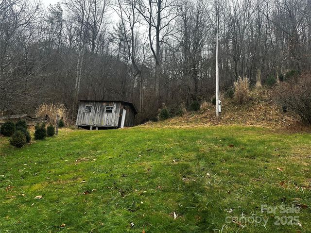 321 Raccoon Branch Road, Green Mountain, NC 28740