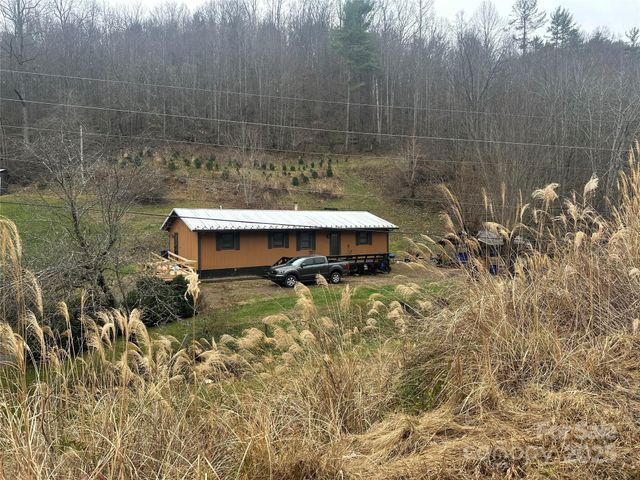 321 Raccoon Branch Road, Green Mountain, NC 28740