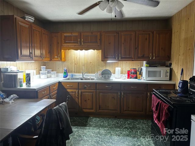 321 Raccoon Branch Road, Green Mountain, NC 28740