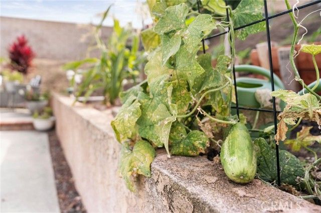 14006 Las Puertas Street, La Mirada, CA 90638