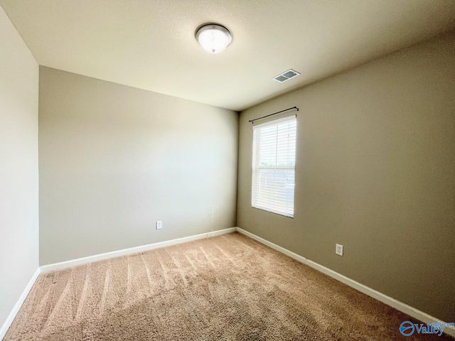 169 Harold Murphy Drive, Madison, AL 35756