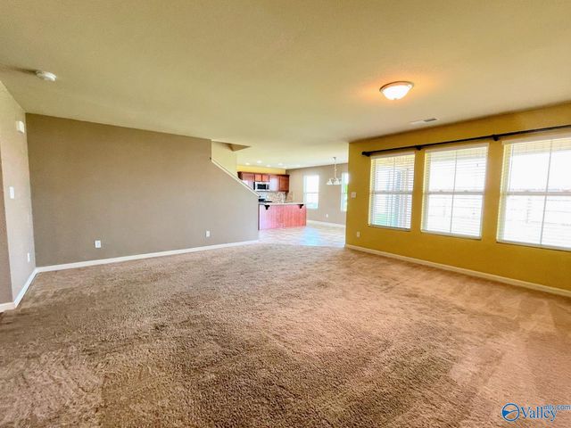 169 Harold Murphy Drive, Madison, AL 35756