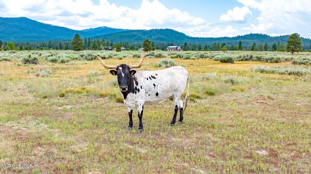 6200 Westside Road, Calpine, CA 96124