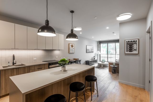 1706 Sherman Avenue 204, Evanston, IL 60201