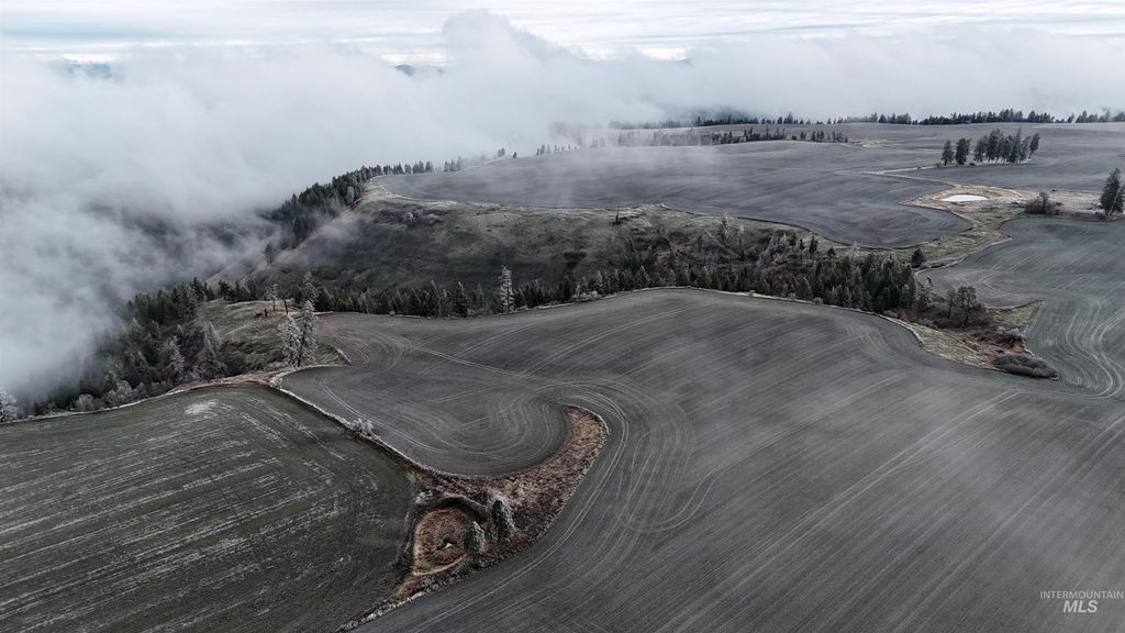 2439 Albers Rd, Nezperce, ID 83543 photo 12