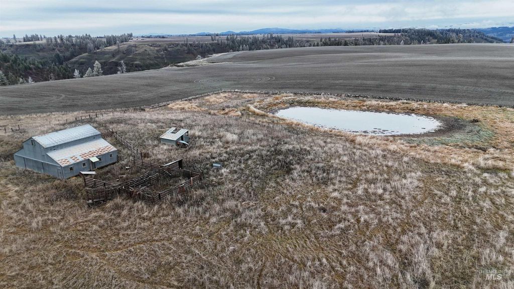 2439 Albers Rd, Nezperce, ID 83543 photo 2