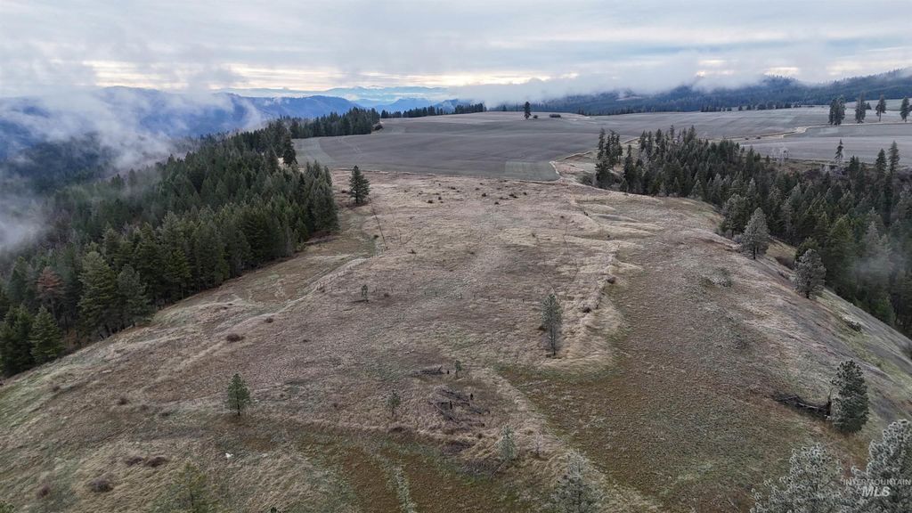 2439 Albers Rd, Nezperce, ID 83543 photo 3