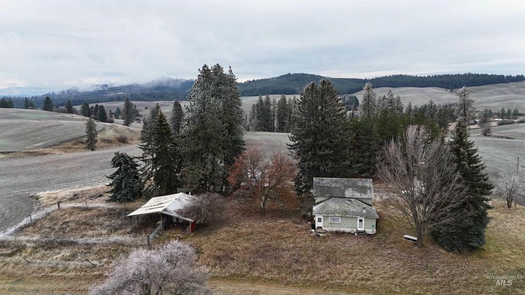2439 Albers Rd, Nezperce, ID 83543 photo 4