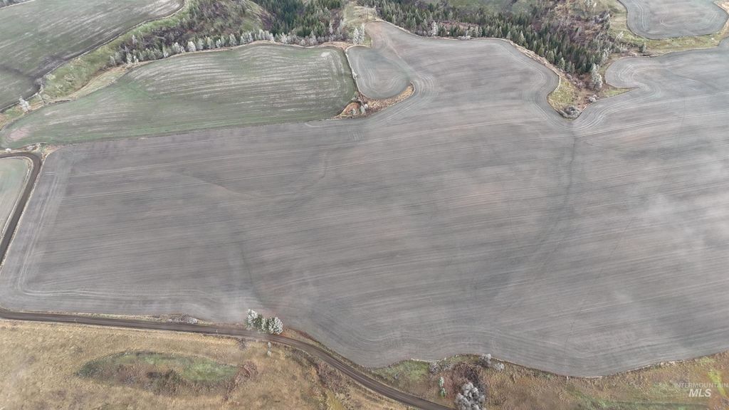 2439 Albers Rd, Nezperce, ID 83543 photo 8