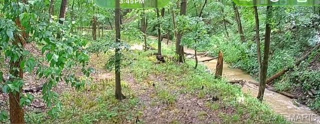 3150 Pleasant Run Drive, Palmyra, MO 63461