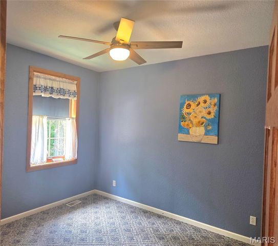 3150 Pleasant Run Drive, Palmyra, MO 63461