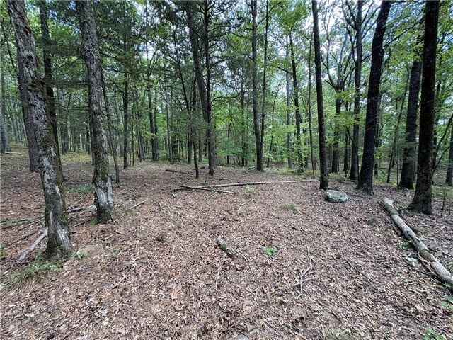 2298 County Road 3271, Clarksville, AR 72830