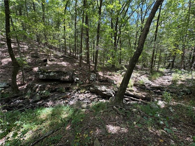 2298 County Road 3271, Clarksville, AR 72830