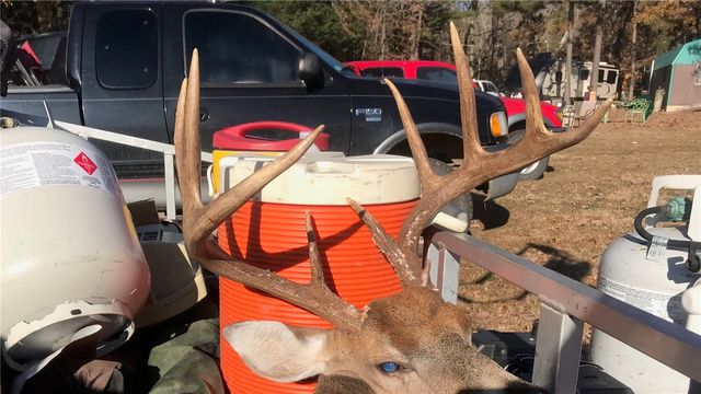 2298 County Road 3271, Clarksville, AR 72830