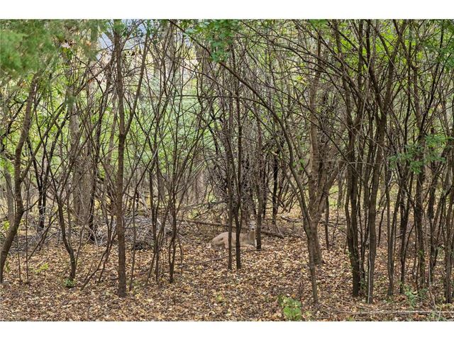 1112 Grandview Drive, Hudson, WI 54016