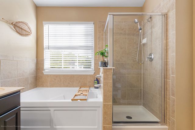 13332 Morning Mist Place, Plainfield, IL 60585
