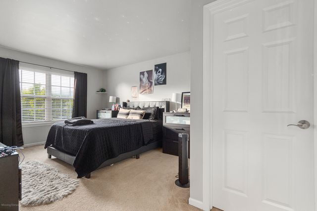 13332 Morning Mist Place, Plainfield, IL 60585