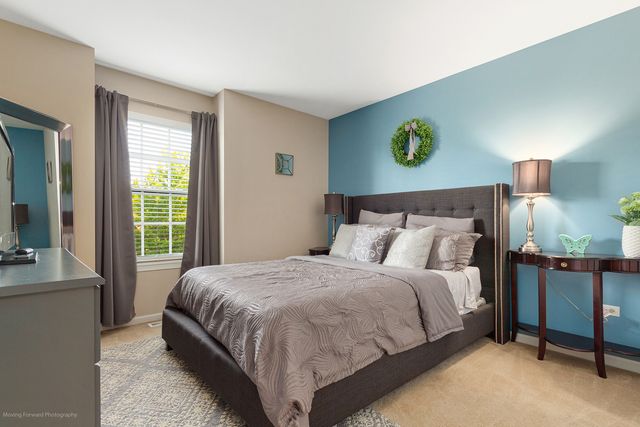 13332 Morning Mist Place, Plainfield, IL 60585