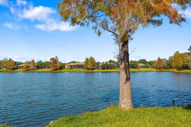 11528 SAVANNAH LAKES DRIVE, Parrish, FL 34219