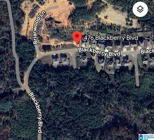 476 BLACKBERRY BOULEVARD, Springville, AL 35146