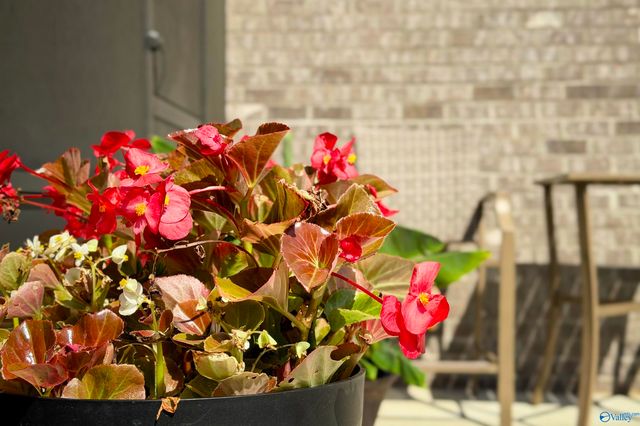 1008 Ashenbury Park, Decatur, AL 35603