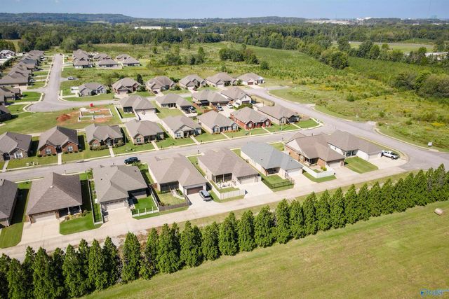 1008 Ashenbury Park, Decatur, AL 35603