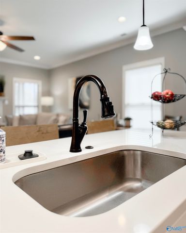 1008 Ashenbury Park, Decatur, AL 35603